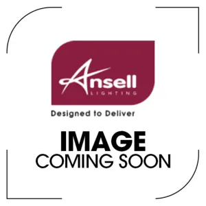 Ansell A/EH/RE/03/20/SI/01 End Cap (with hole) IP20 Silver