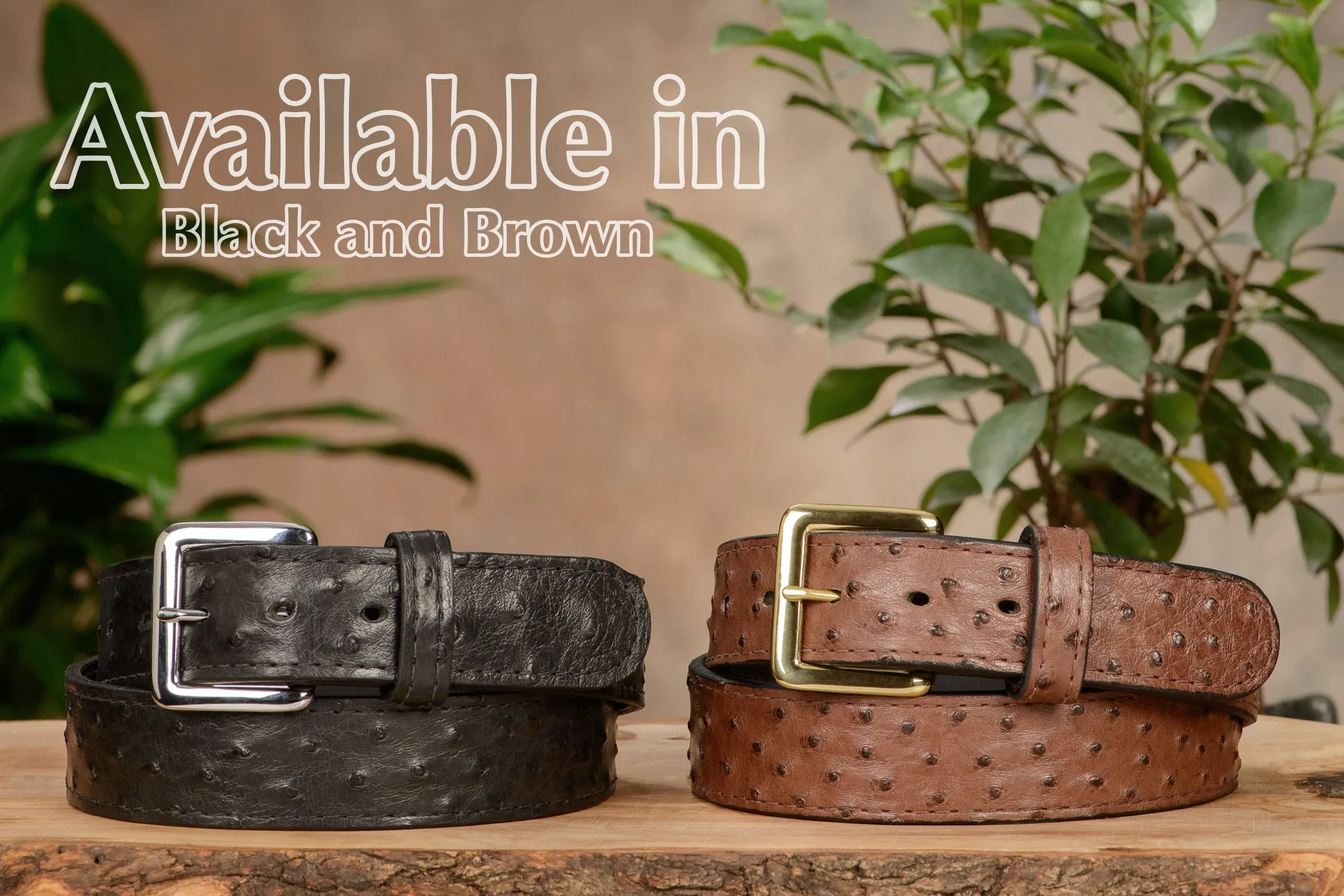 Brown South African Ostrich Skin Money Belt With 25" Zipper