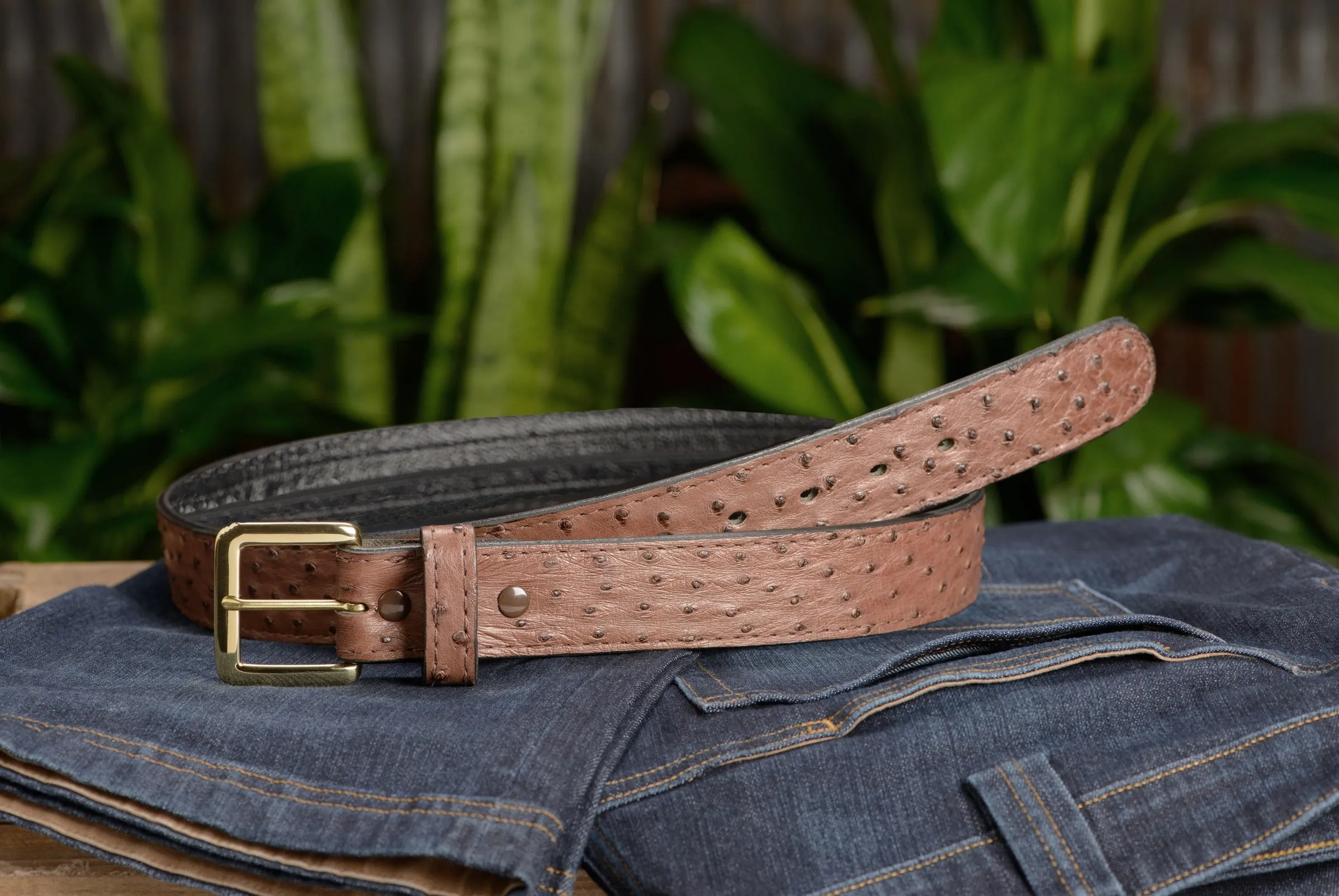 Brown South African Ostrich Skin Money Belt With 25" Zipper