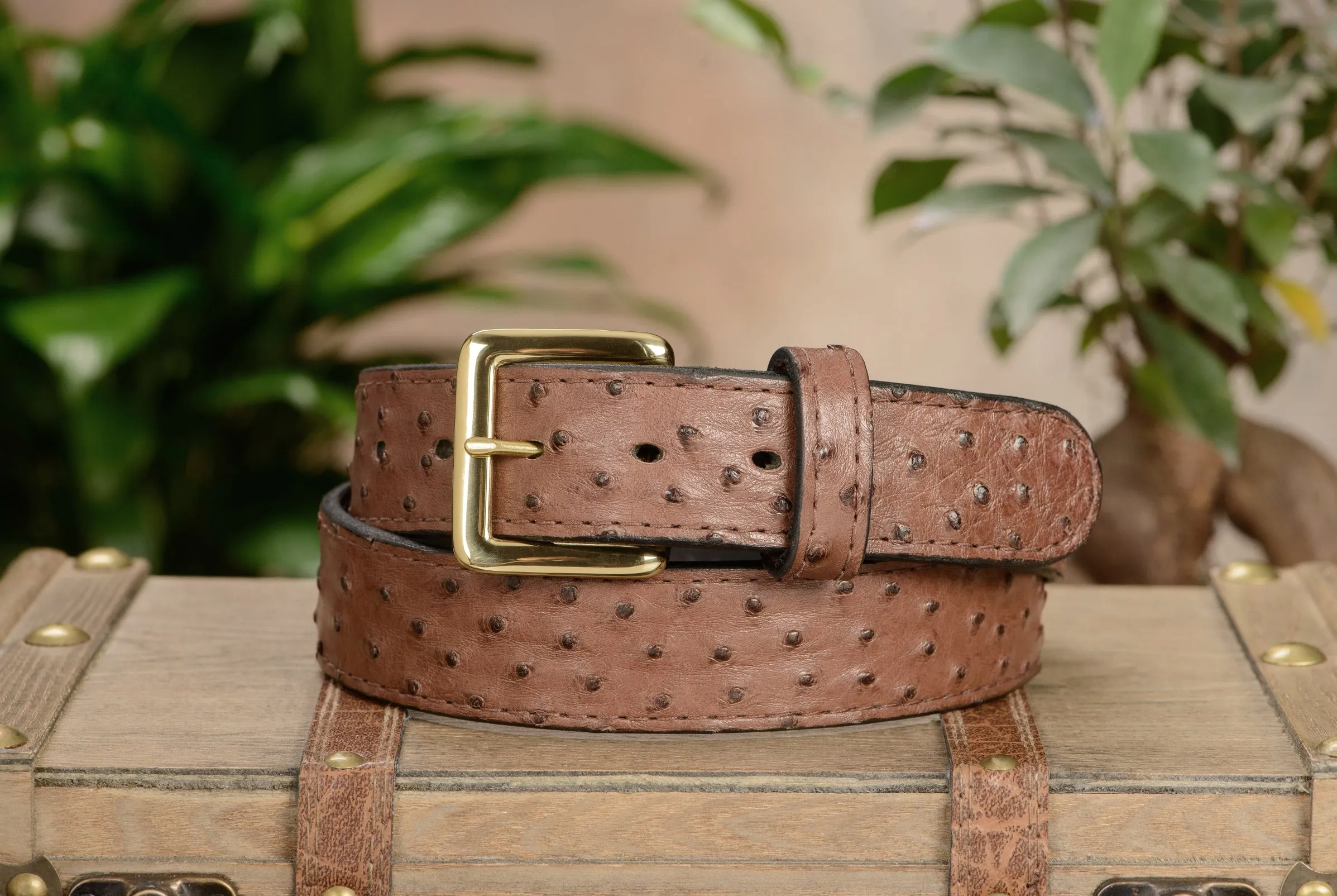 Brown South African Ostrich Skin Money Belt With 25" Zipper