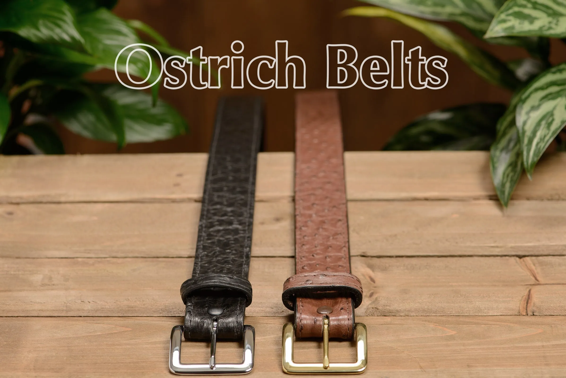 Brown South African Ostrich Skin Money Belt With 25" Zipper
