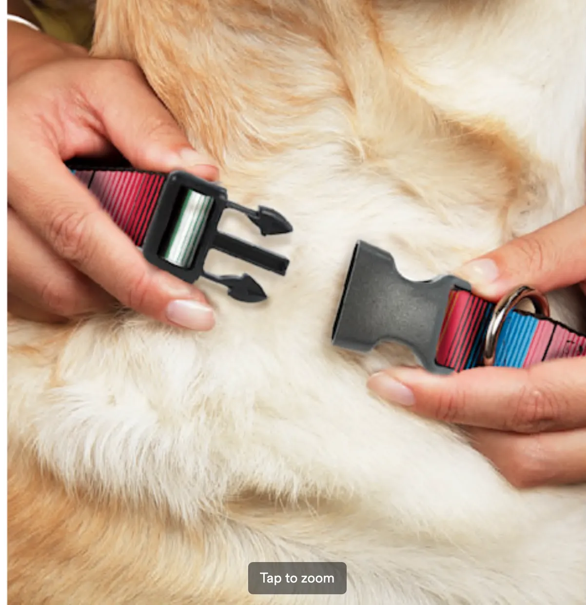 Buckle-Down Plastic Clip Collar Zarape Vertical Multi Color Stripe