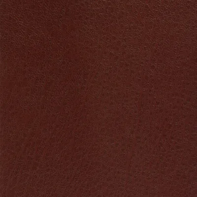 Celine-9