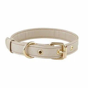 Champagne Buckle Collar
