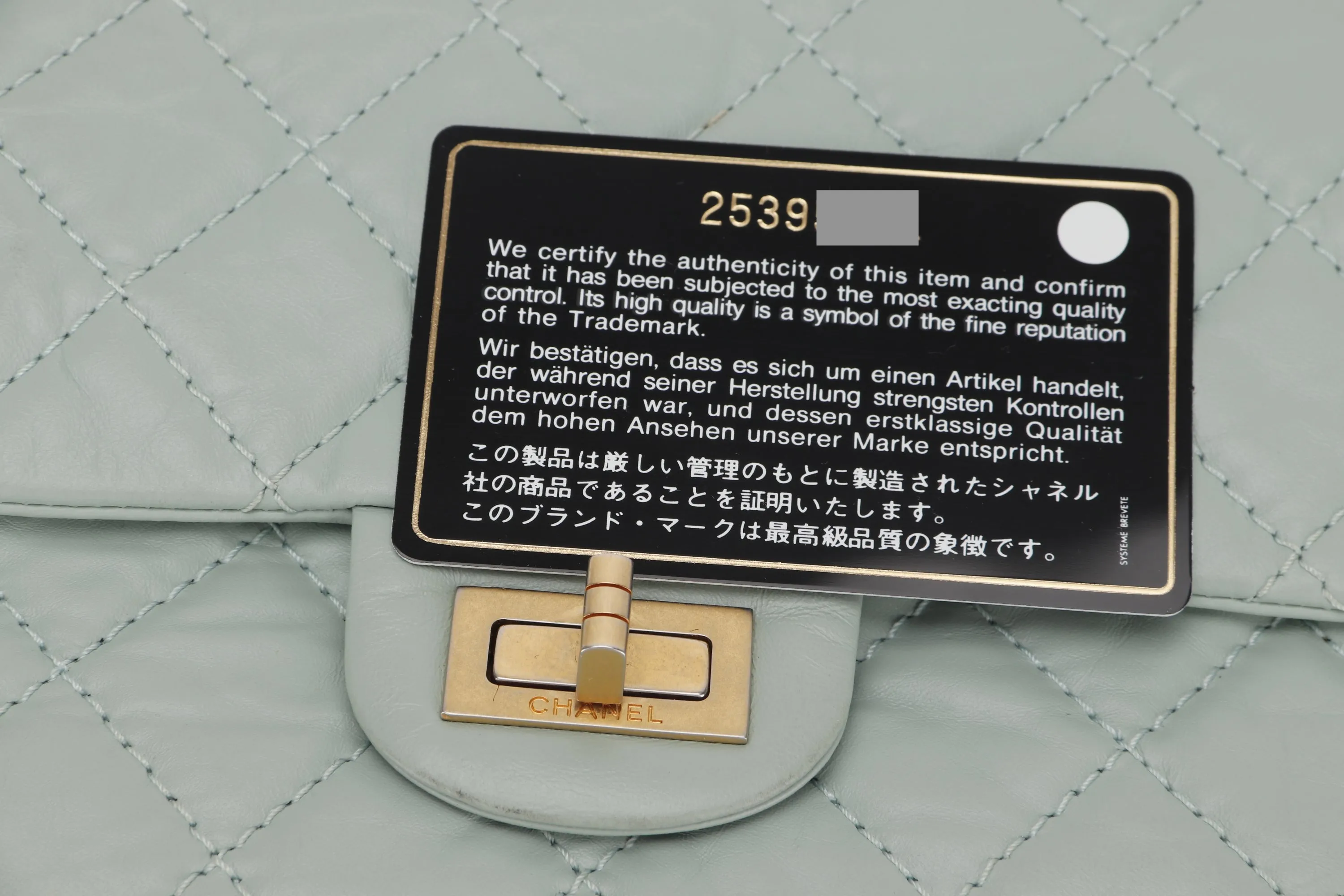 CHANEL REISSUE 227 (2539xxxx) MINT GREEN CALFSKIN GOLD HARDWARE, WITH CARD, DUST COVER & BOX