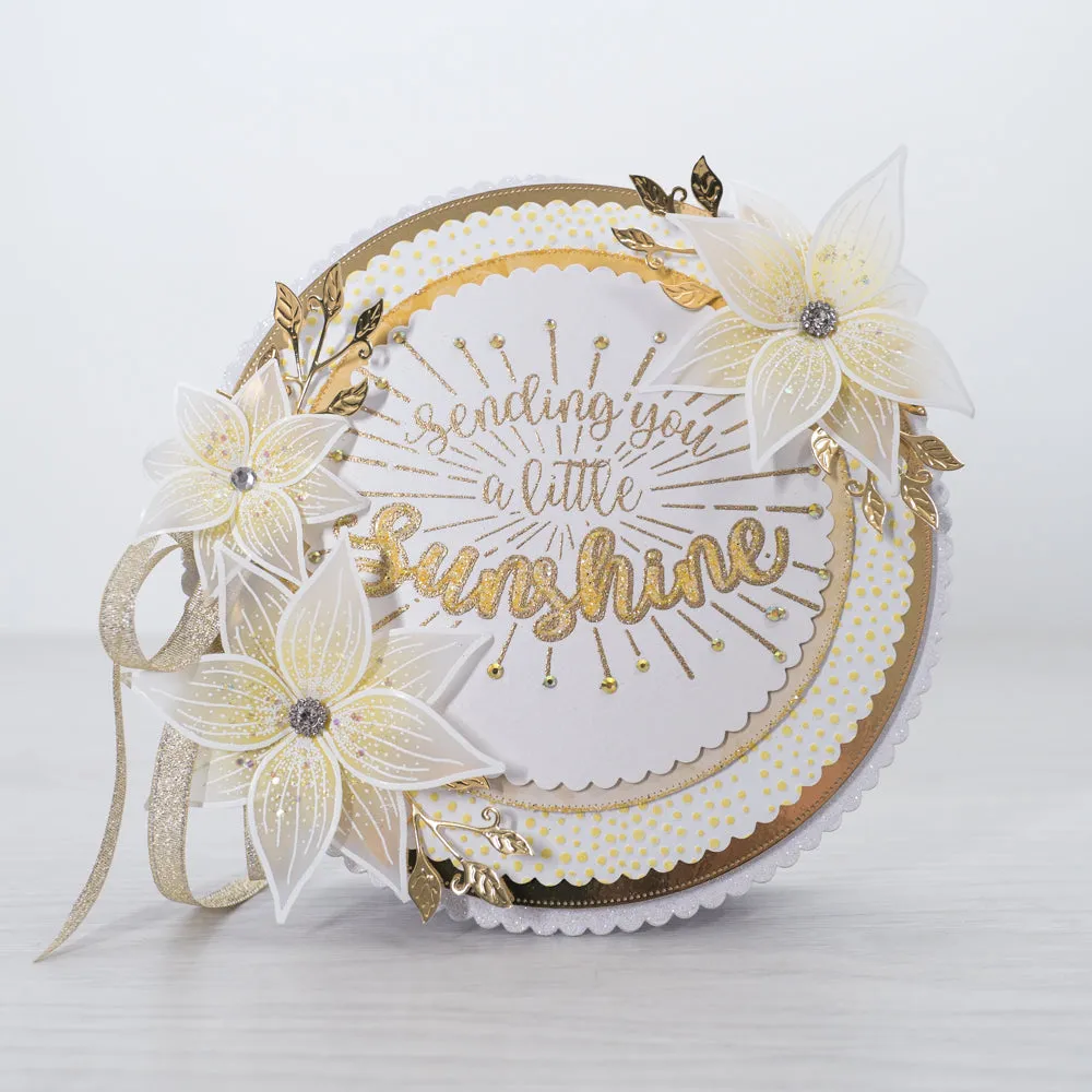 Chloes Creative Cards 8x8 Scalloped and Pierced Dies and 8x8 Embossing Folders I NEED IT ALL!