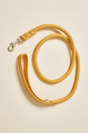 [COSONNE] Braided Pet Leash(for pet)