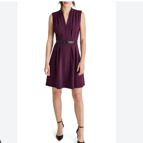 DKNY Sleeveless Belted Fit &amp; Flare Dress In Raisin