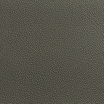 Fetch-Granite