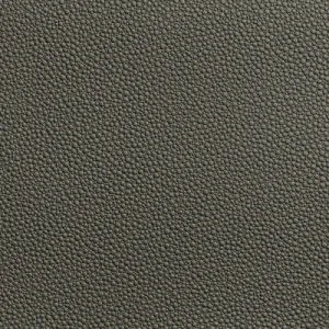 Fetch-Granite