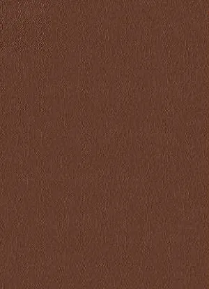Fortune-6