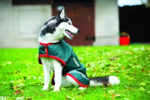 Horseware Rambo Waterproof Dog Rug 100g