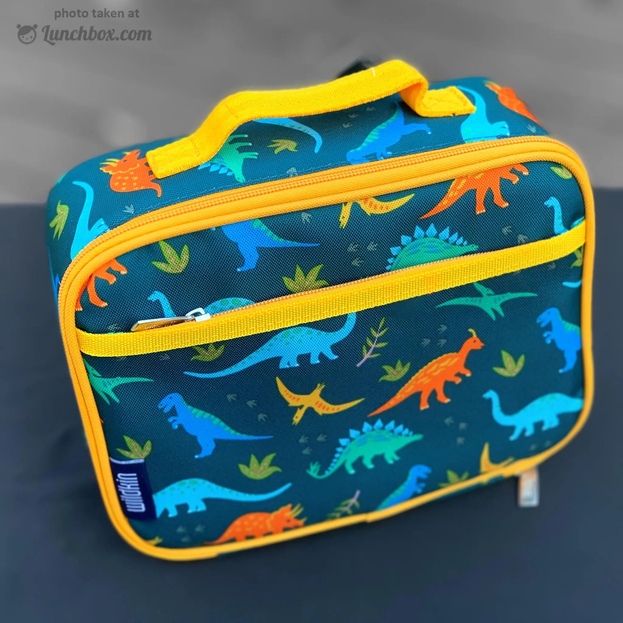 Jurassic Dinosaurs Lunch Box