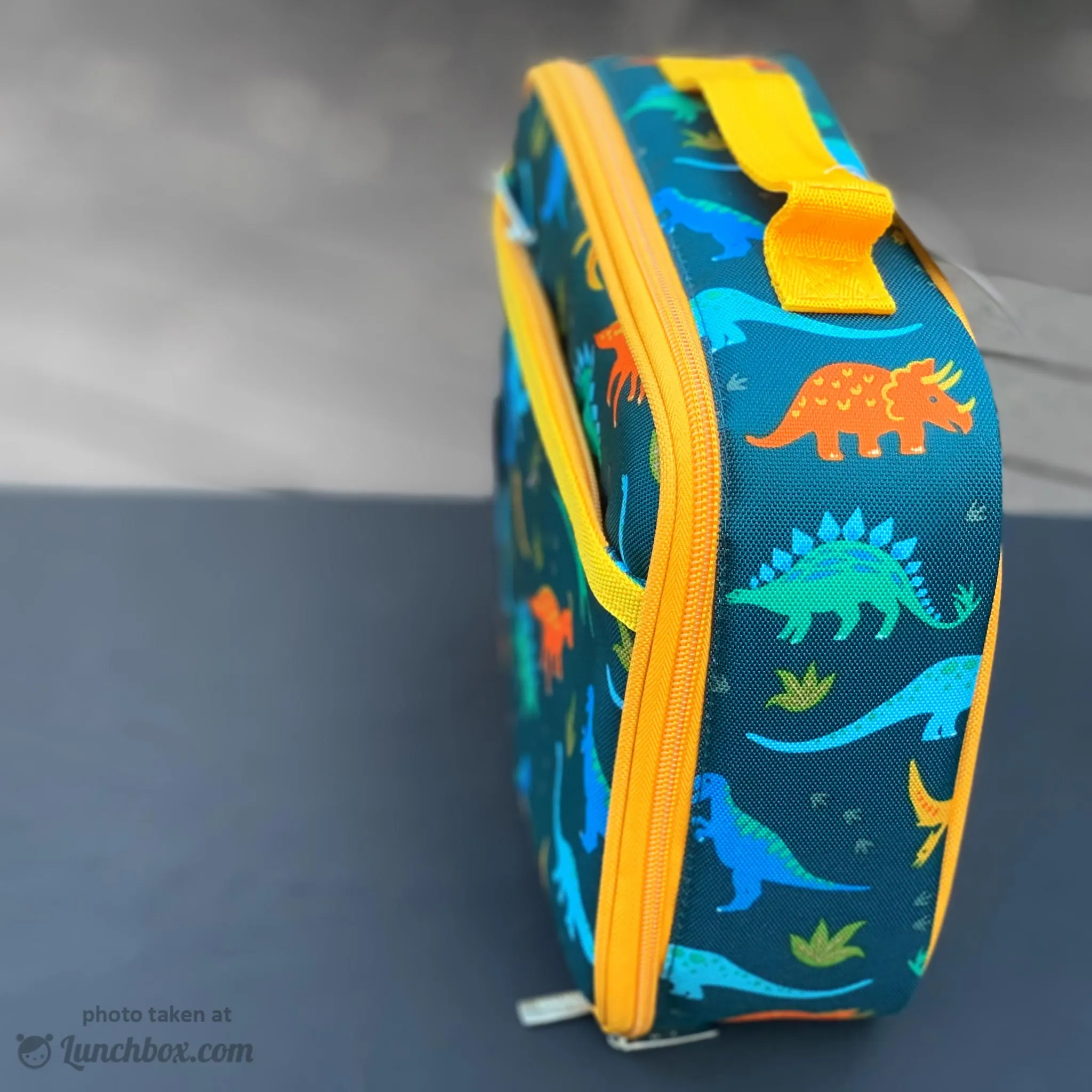 Jurassic Dinosaurs Lunch Box