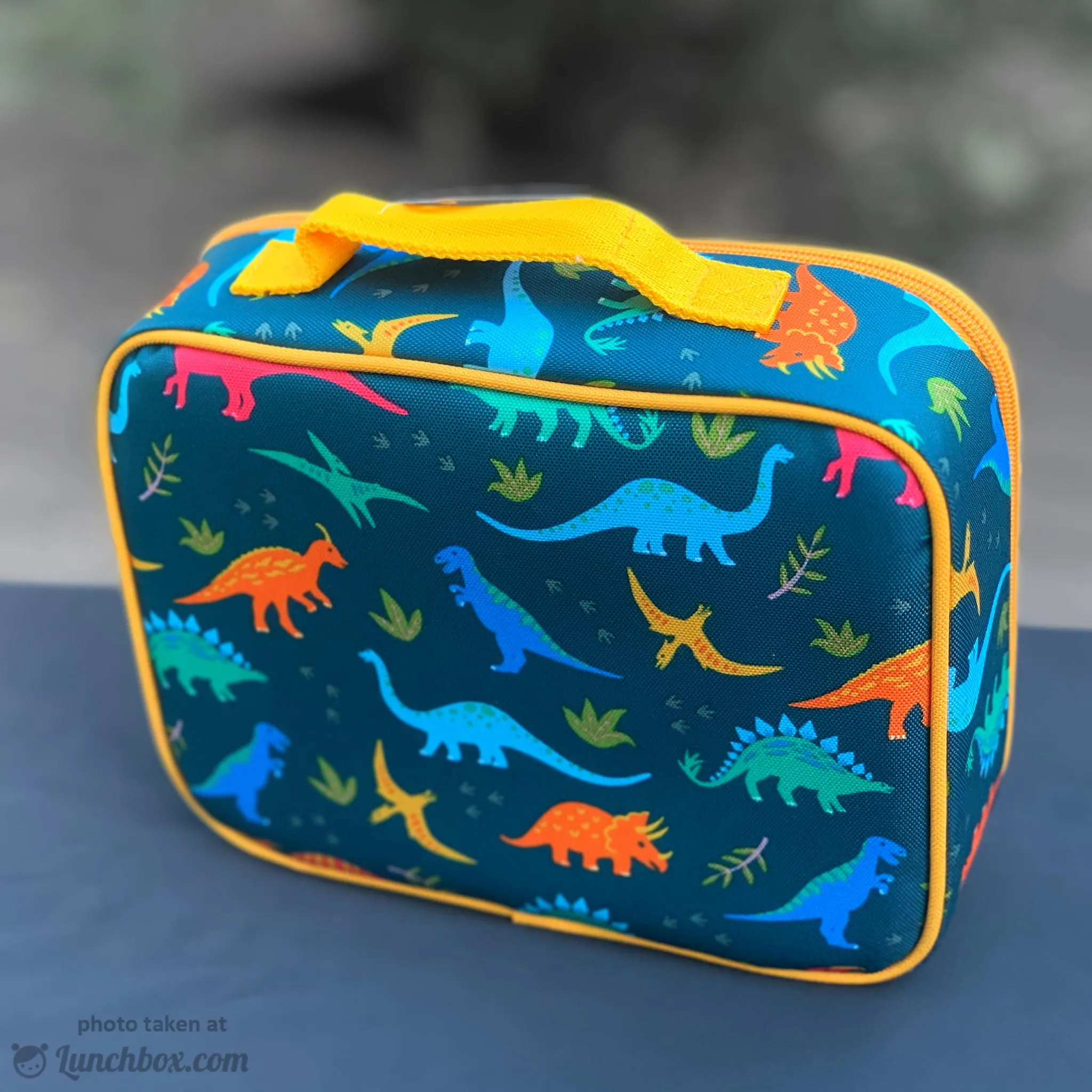 Jurassic Dinosaurs Lunch Box