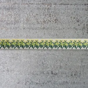 LFNT Ribbon : Dill on Cream