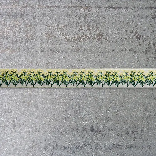 LFNT Ribbon : Dill on Cream
