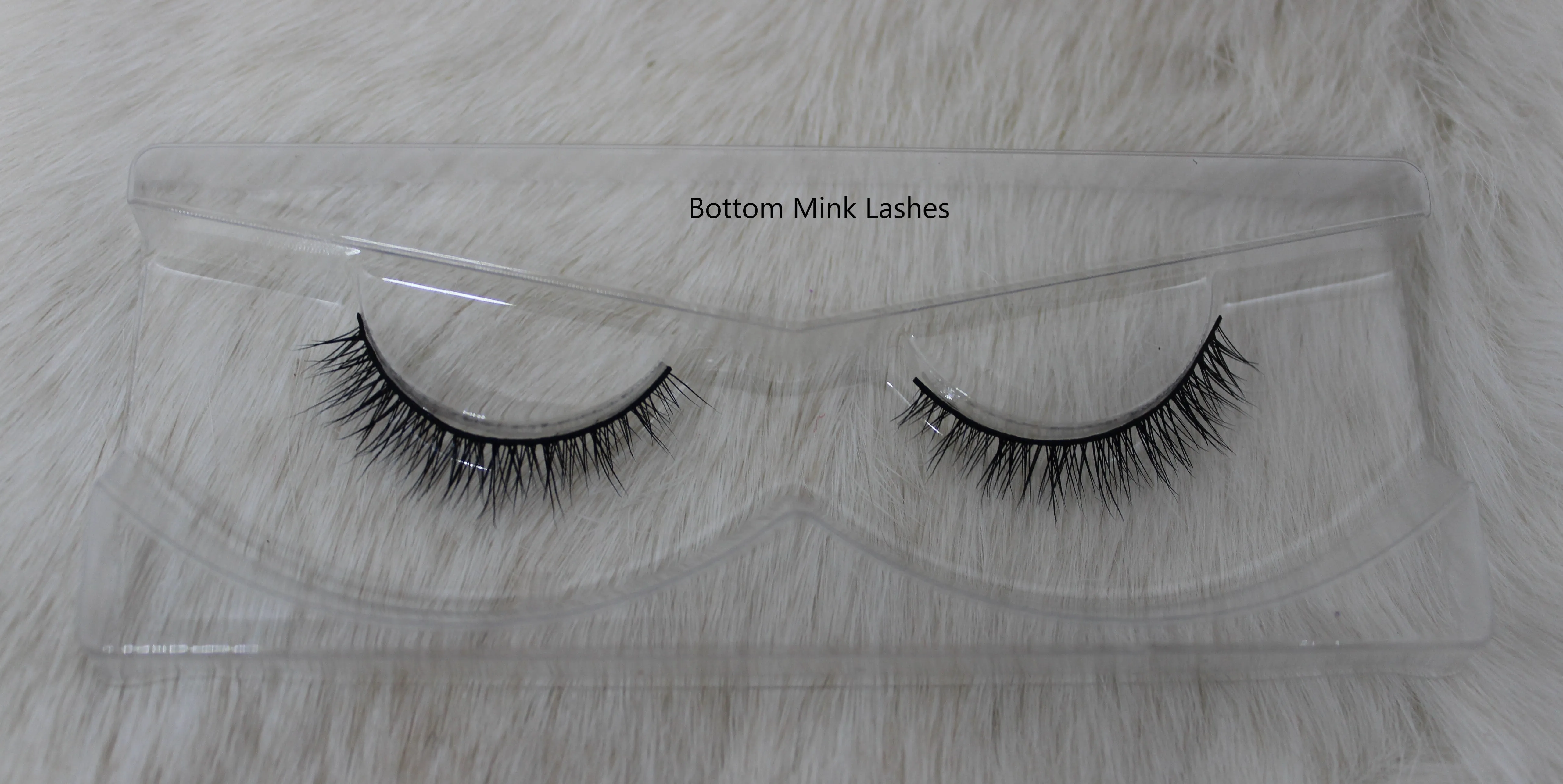 Logan Lashes