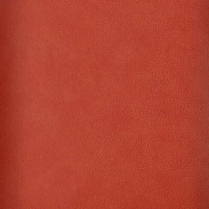 Loris-124