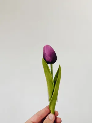 Mini Single Stem Tulip - Purple
