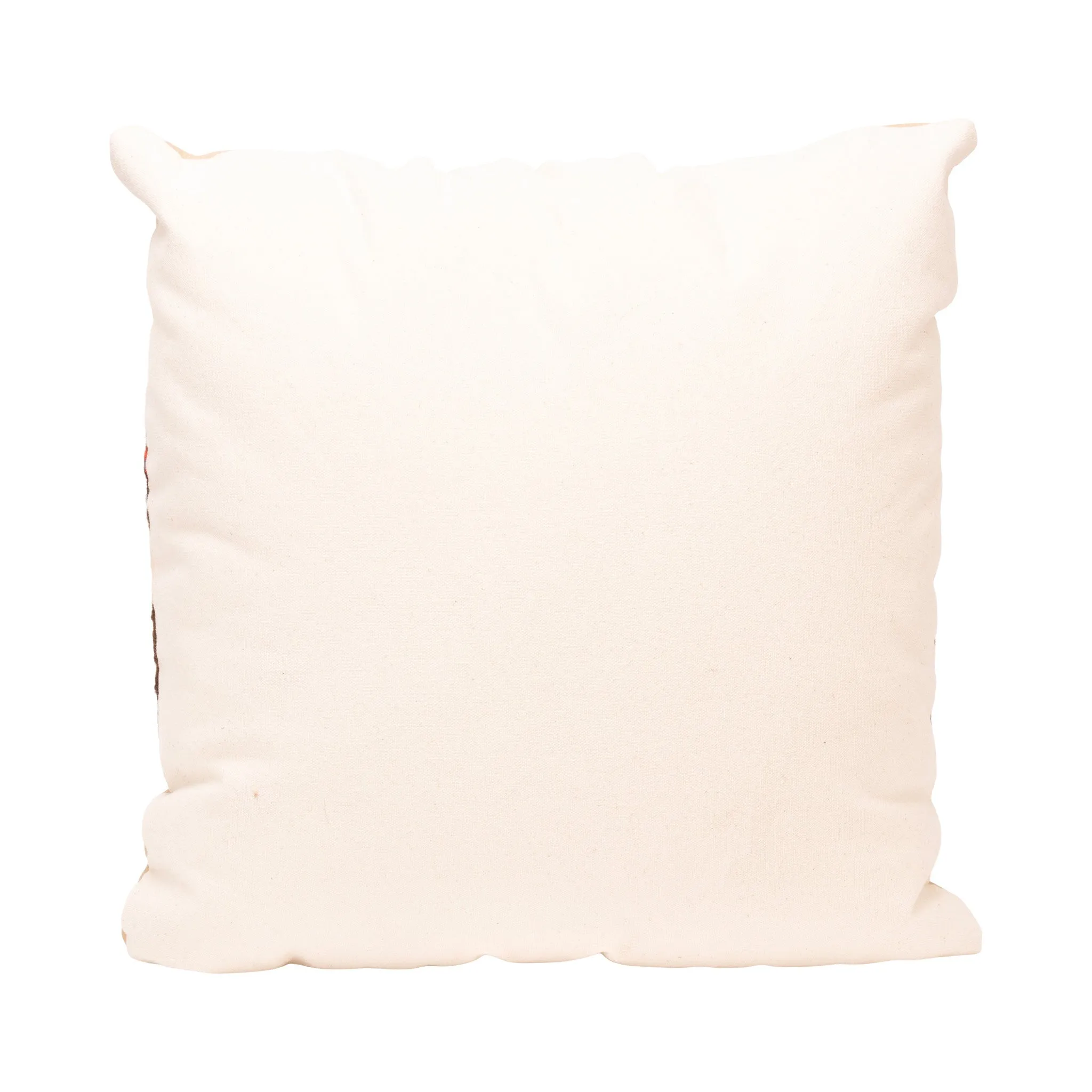 Native Lodge Pillow