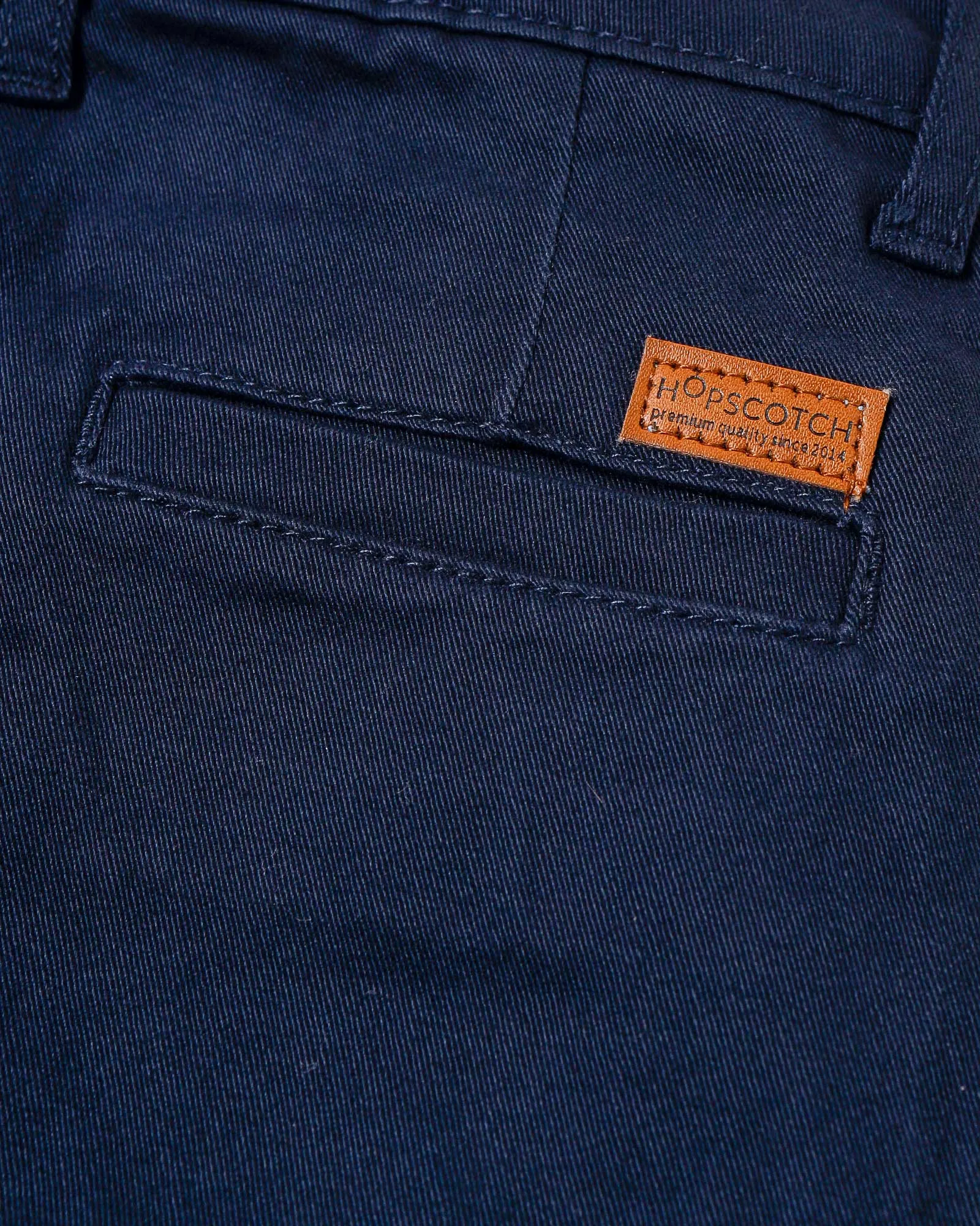 Navy Regular Fit Chinos