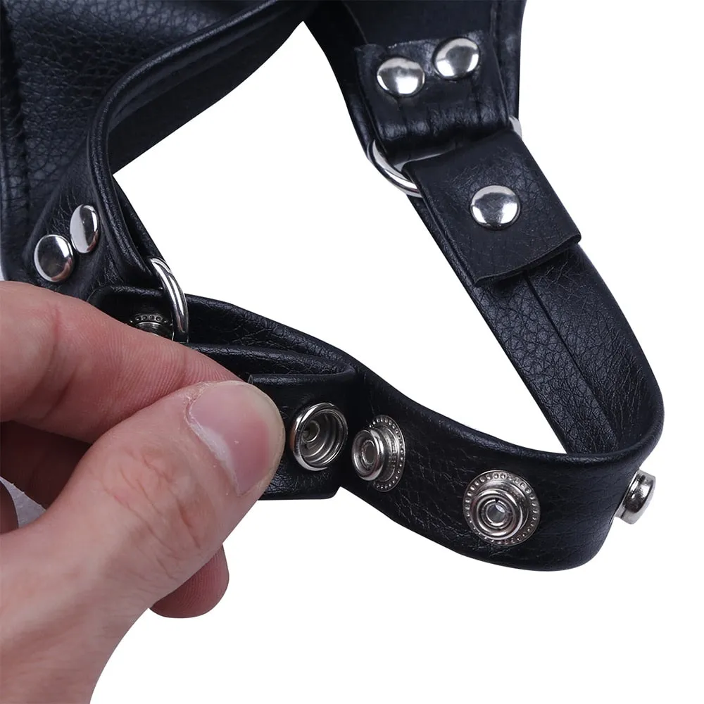 Neckline Chest Harness