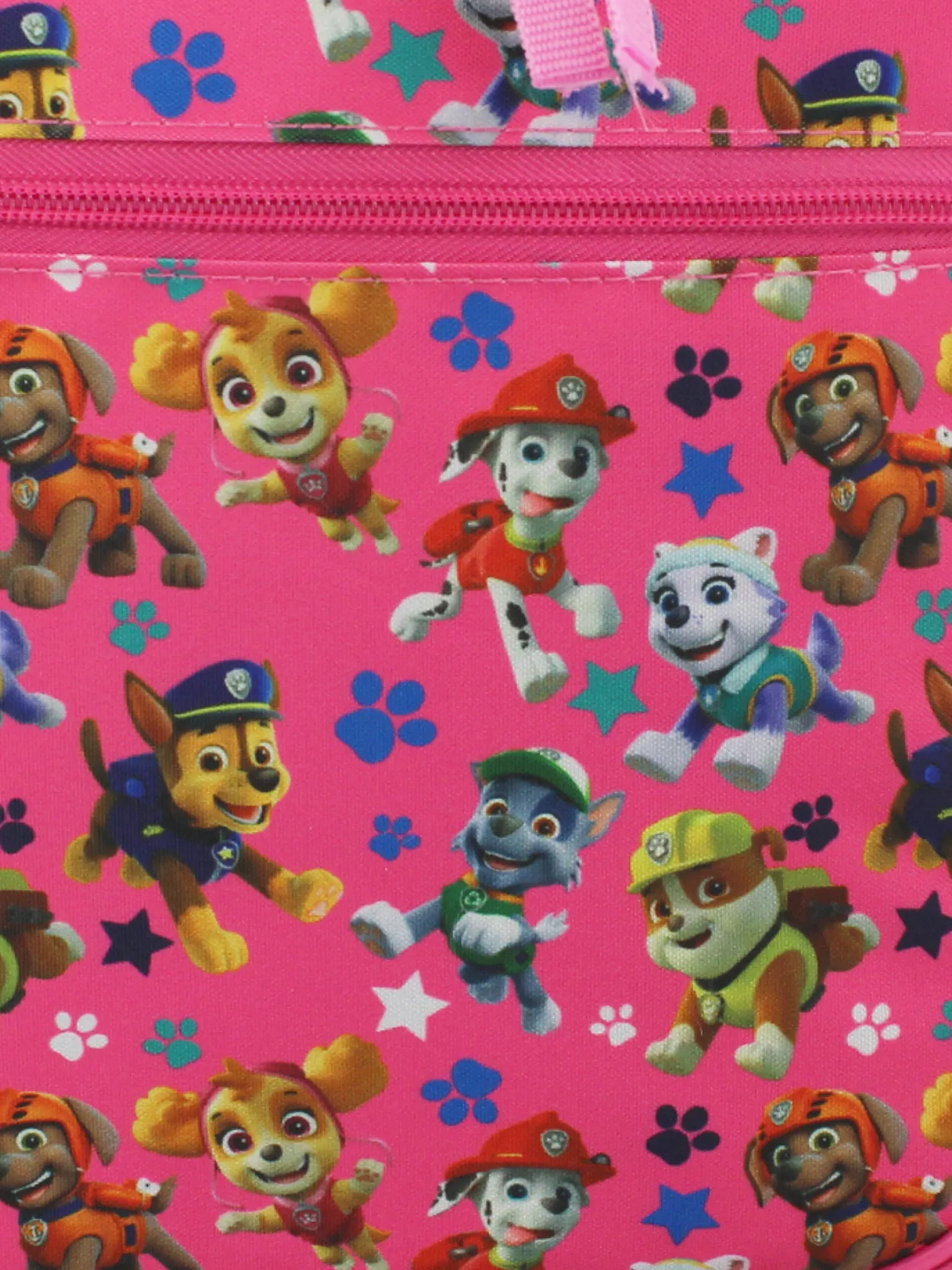 Paw Patrol Insulated School Lunch Box