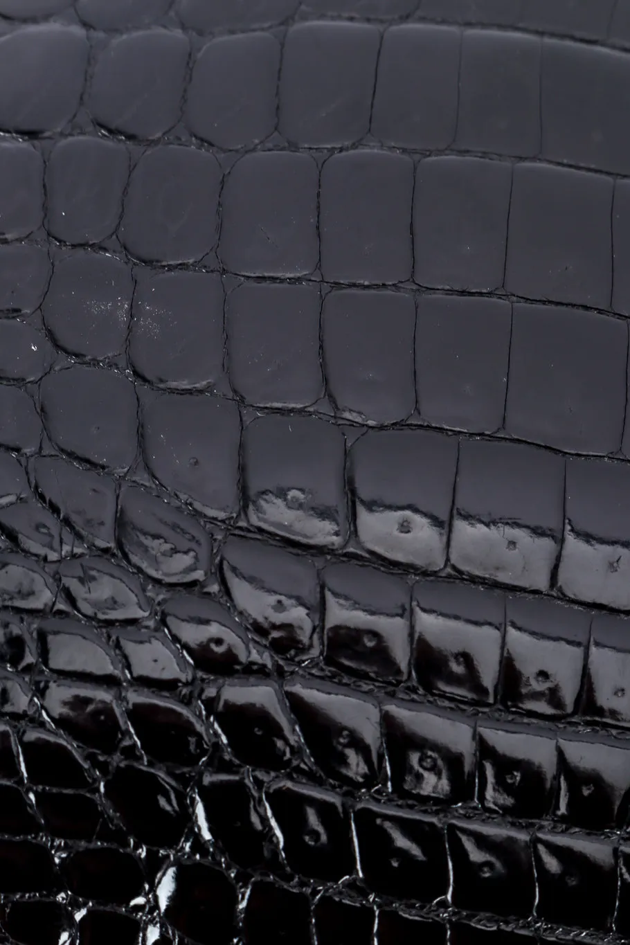 Polished Crocodile Bag