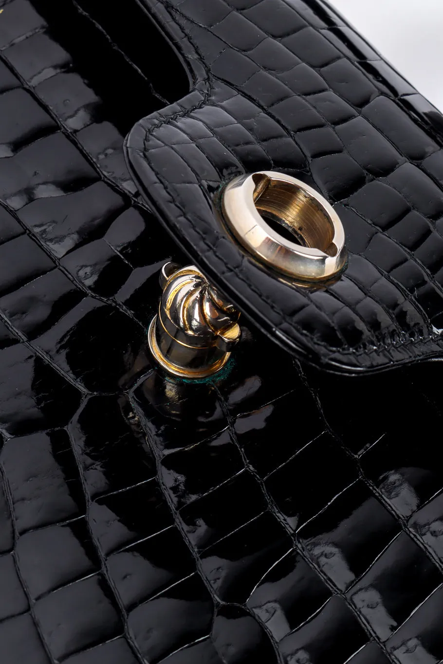 Polished Crocodile Bag