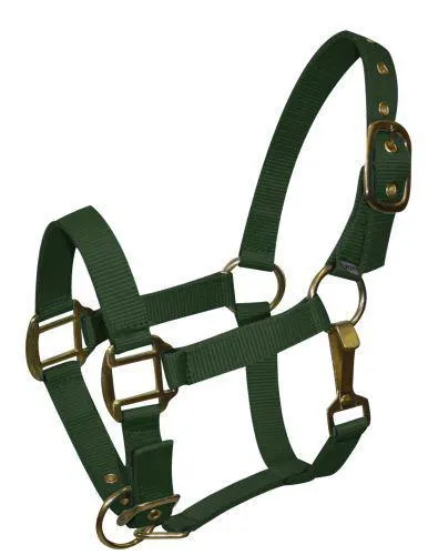 Pony size nylon halter