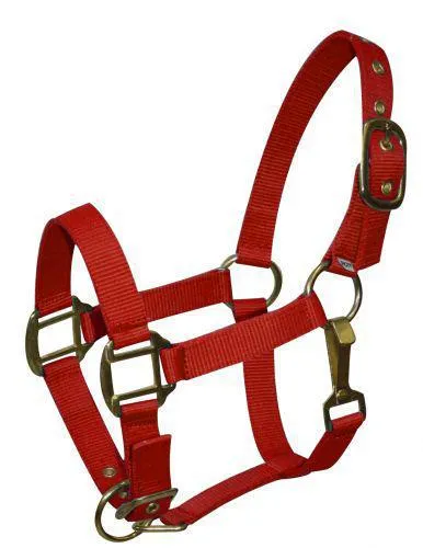 Pony size nylon halter