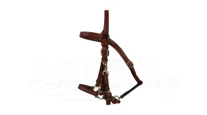 Porter Halter/Bridle Tan