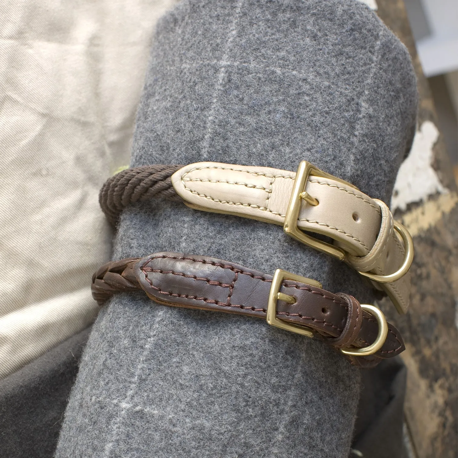 Rope Dog Collar