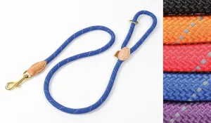 Shires Digby & Fox Reflective Dog Lead