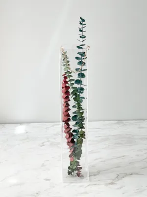 Tall Transparent Flower Box With Colored Trim And Chain