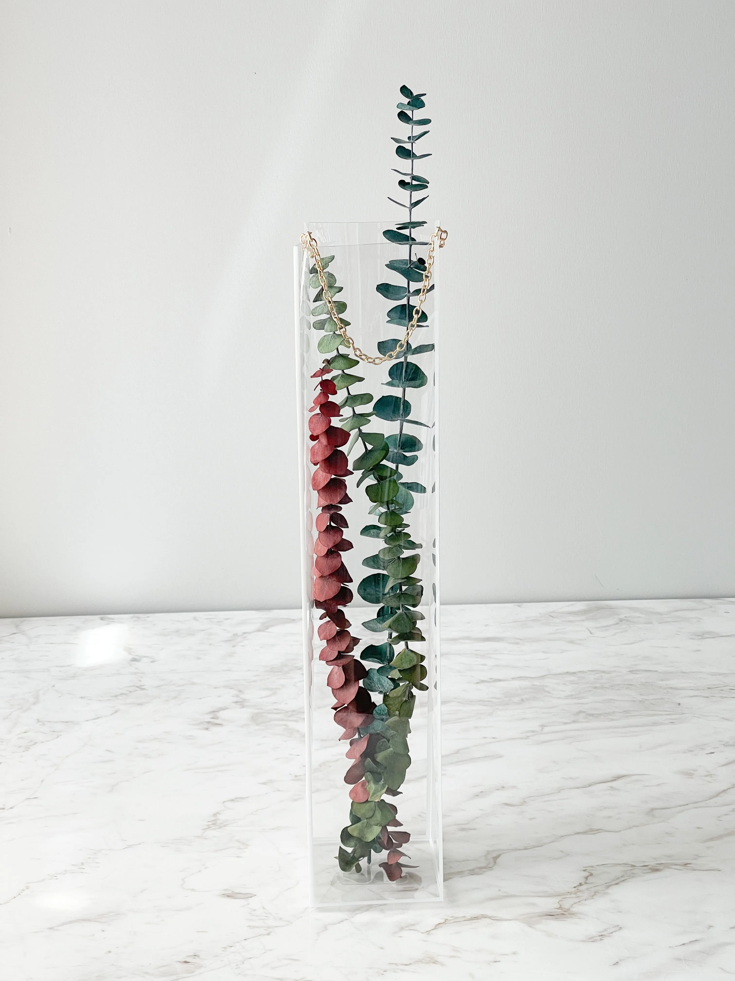 Tall Transparent Flower Box With Colored Trim And Chain