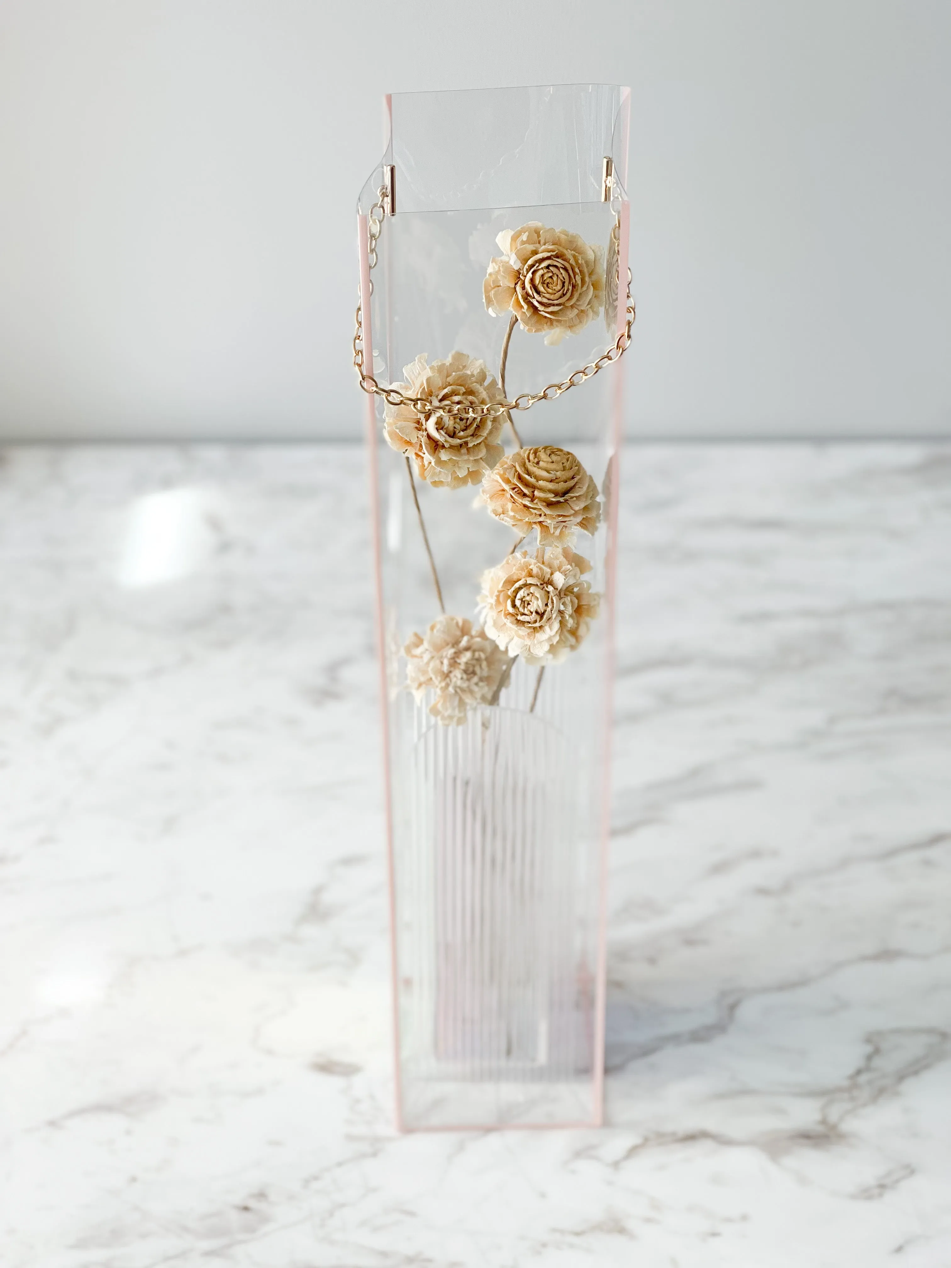 Tall Transparent Flower Box With Colored Trim And Chain