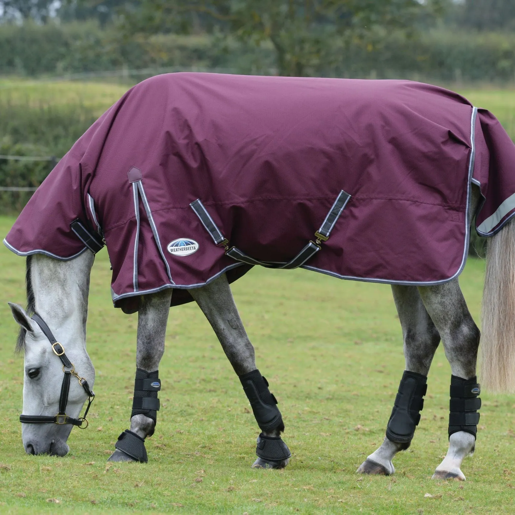 Weatherbeeta ComFiTec Plus Dynamic II Combo Medium Maroon/Grey/White