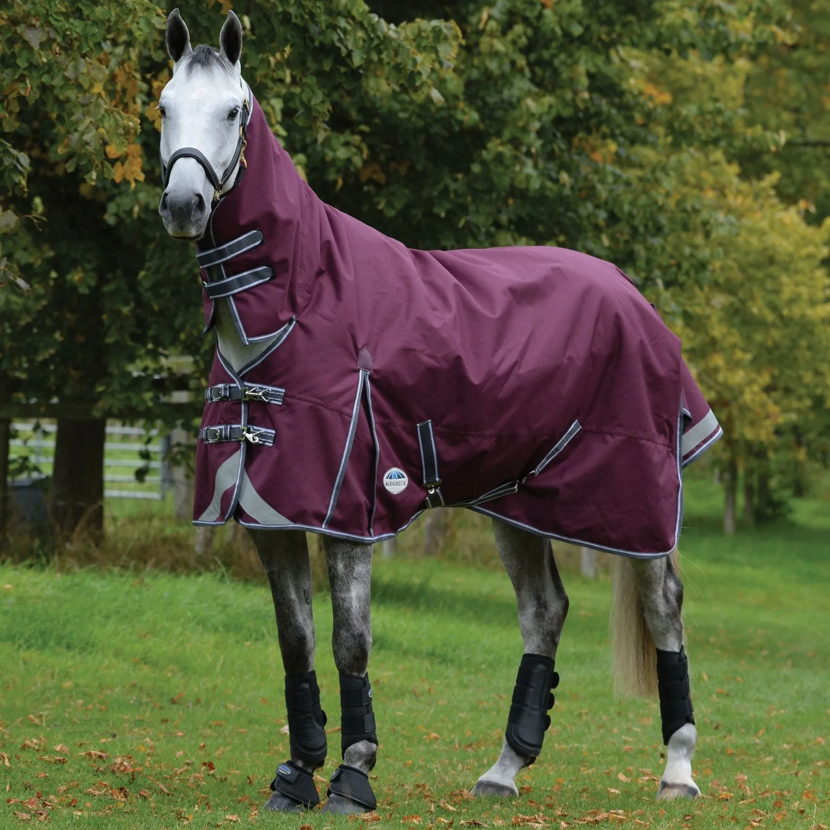 Weatherbeeta ComFiTec Plus Dynamic II Combo Medium Maroon/Grey/White