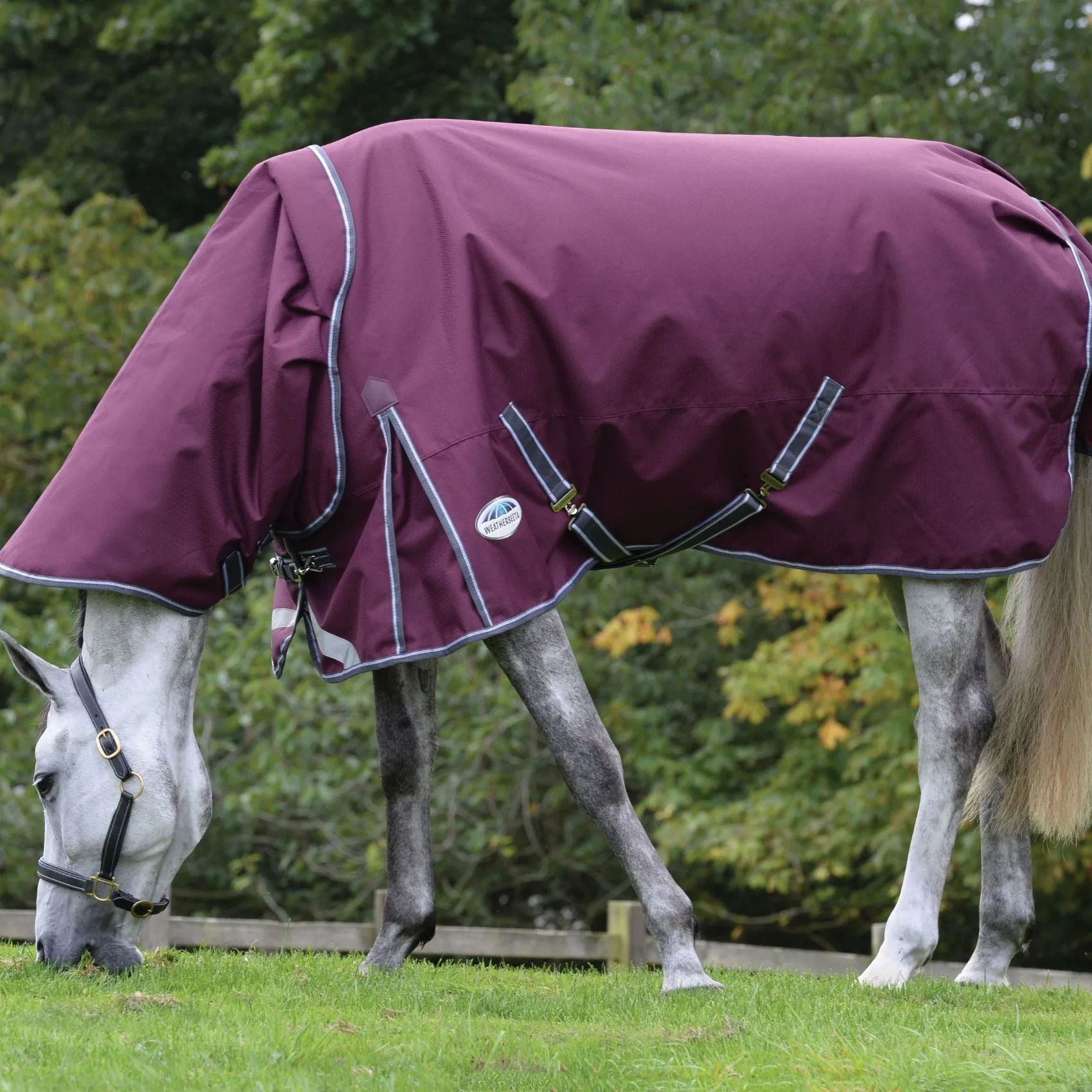 Weatherbeeta ComFiTec Plus Dynamic II Detach-A-Neck Lite Maroon/Grey/White