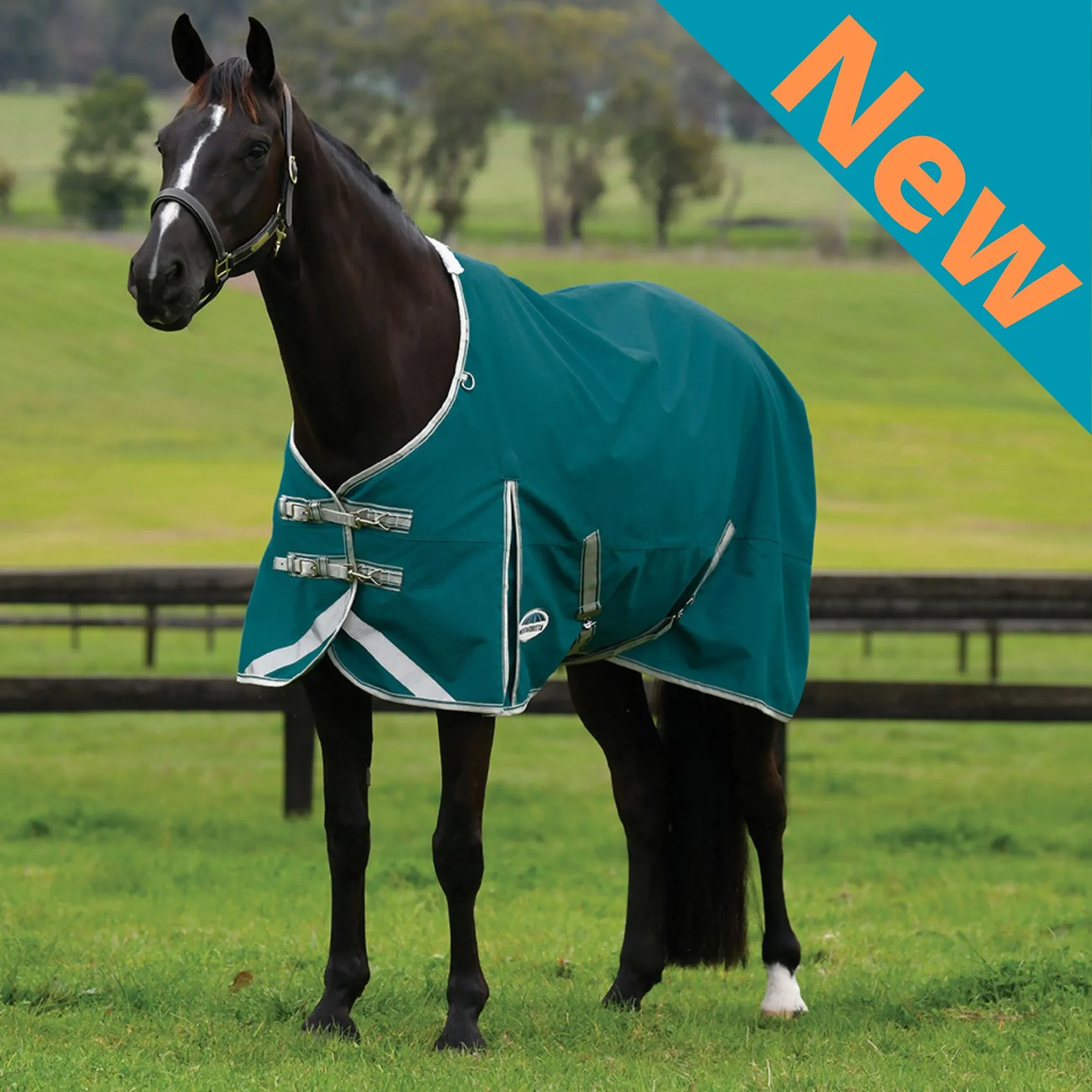 Weatherbeeta ComFiTec Plus Dynamic II Standard Lite Teal Green/Stone/Teal Green