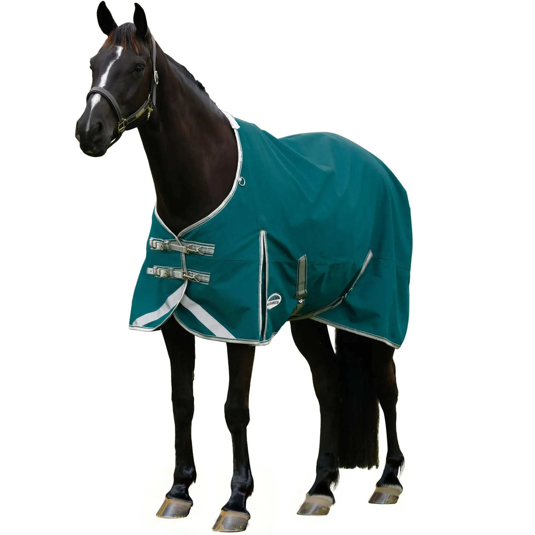 Weatherbeeta ComFiTec Plus Dynamic II Standard Lite Teal Green/Stone/Teal Green