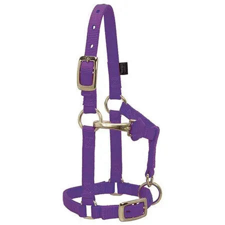 Weaver Leather Miniature Horse Adjustable Chin and Throat Snap Halter, 5/8" Average