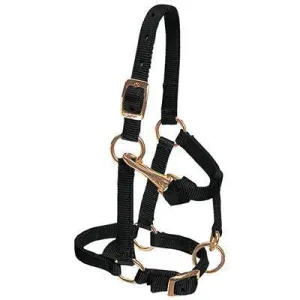 Weaver Leather Miniature Horse Adjustable Chin and Throat Snap Halter, 5/8" Average