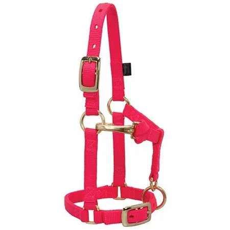 Weaver Leather Miniature Horse Adjustable Chin and Throat Snap Halter, 5/8" Average