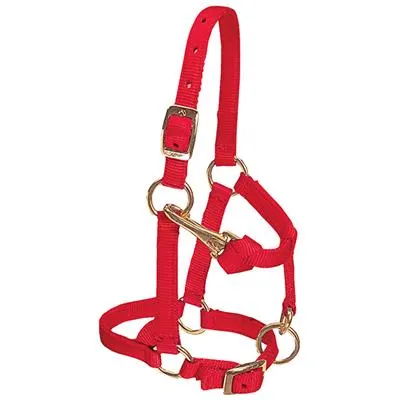 Weaver Leather Miniature Horse Adjustable Chin and Throat Snap Halter, 5/8" Average