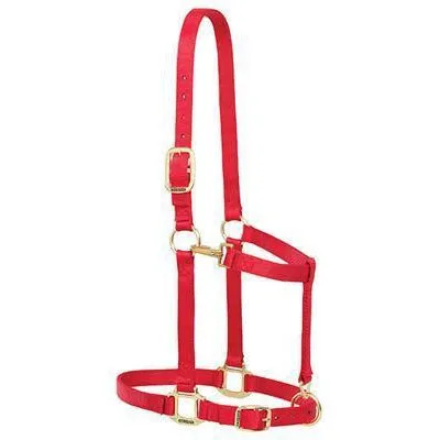 Weaver Leather Nylon Adjustable Large Draft Horse Halter, 1"